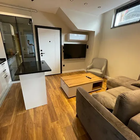 Arc House