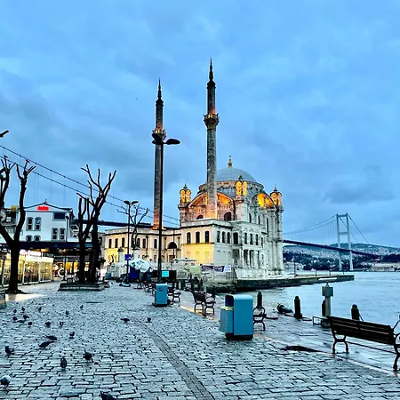 Apartamento Arc House *