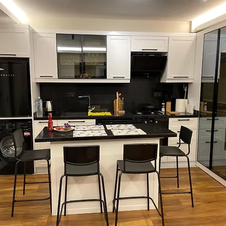 Arc House Apartment *