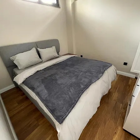Apartment Arc House
