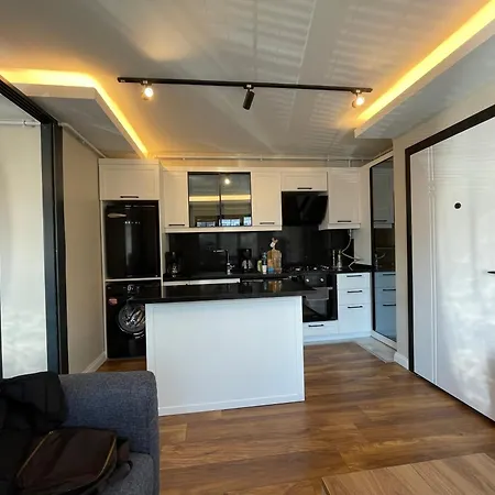 Arc House *
