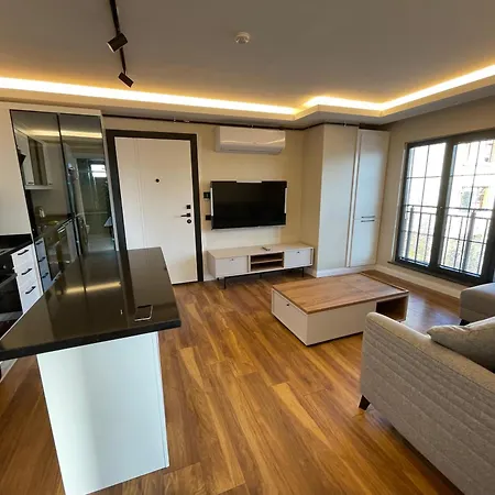 Arc House *